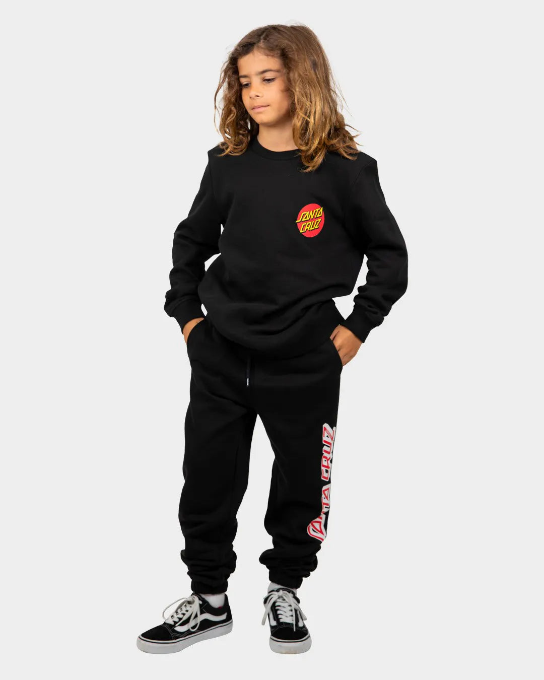 SANTA CRUZ CLASSIC DOT CREW NECK SWEATER