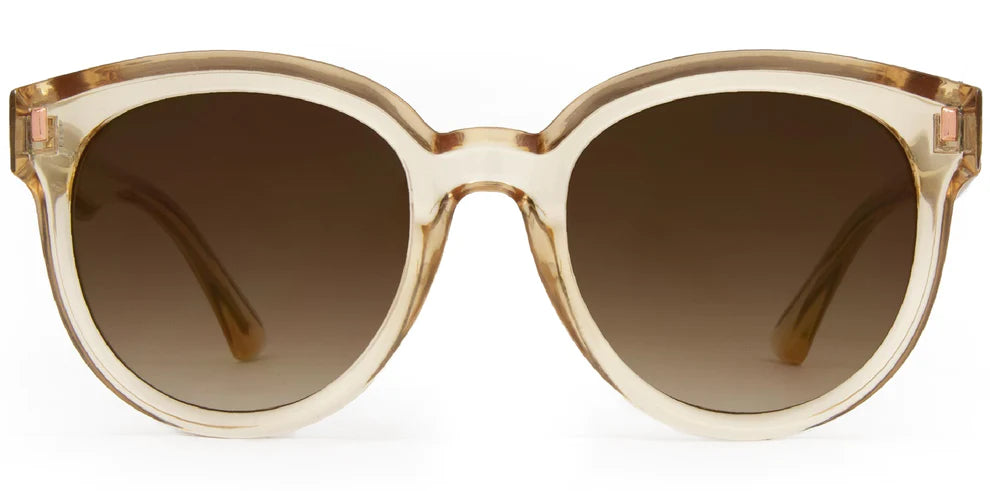 CARVE HARPO GLOSS TRANSL CHAI TEA LT BROWN GRADIENT SUNGLASSES