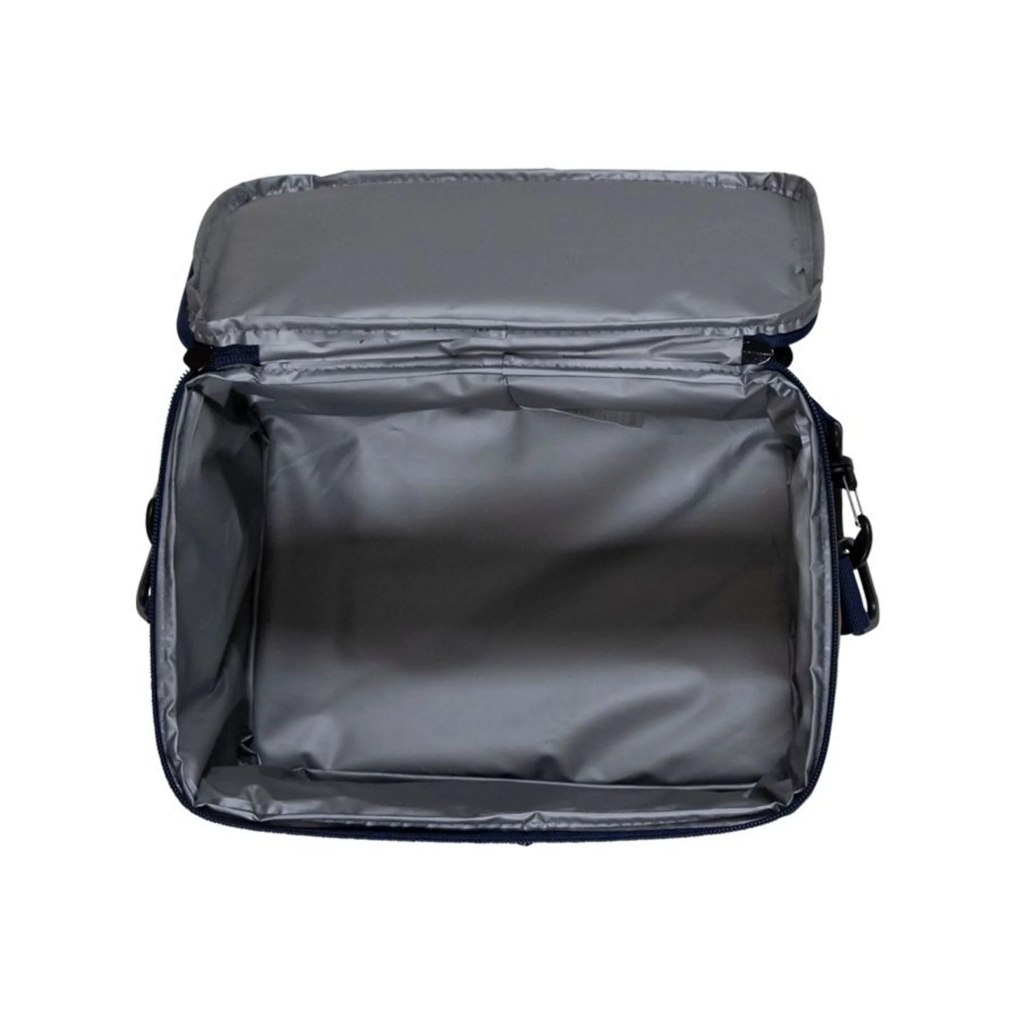 SANTA CRUZ SCENIC DOT COOLER BAG