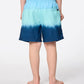 RIPCURL DIP VOLLEY-BOY SHORTS ( 1-8 YEARS )
