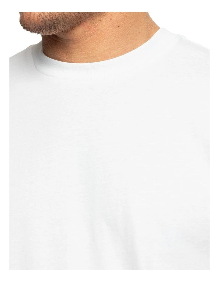 QUICKSILVER SALT WATER CREW SS TEE