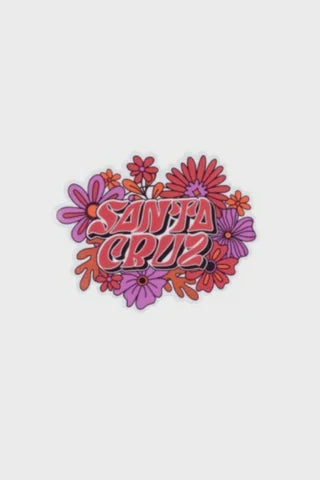 SANTA CRUZ VIBES STICKER