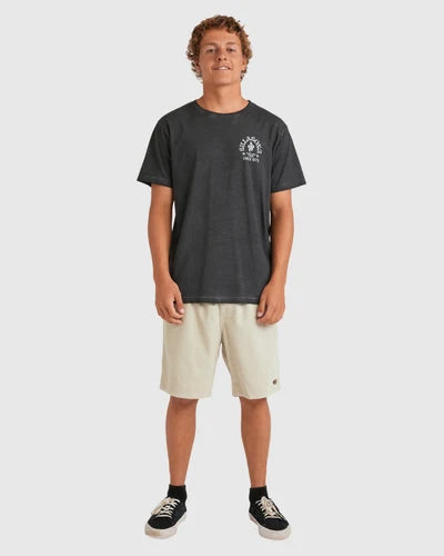 BILLABONG BIG WAVE SHAZZA SS TEE