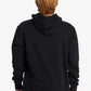 QUICKSILVER BIG LOGO HOODIE