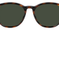 DRAGON DR BILLIE TORTOISE SUNGLASSES