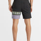 BILLABONG BURLEIGH LAYBACK MENS SHORTS