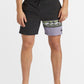 BILLABONG BURLEIGH LAYBACK MENS SHORTS