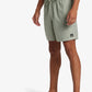 QUICKSILVER EVERYDAY SURFWASH MENS VOLLEY SHORTS