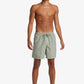 QUICKSILVER EVERYDAY SURFWASH MENS VOLLEY SHORTS