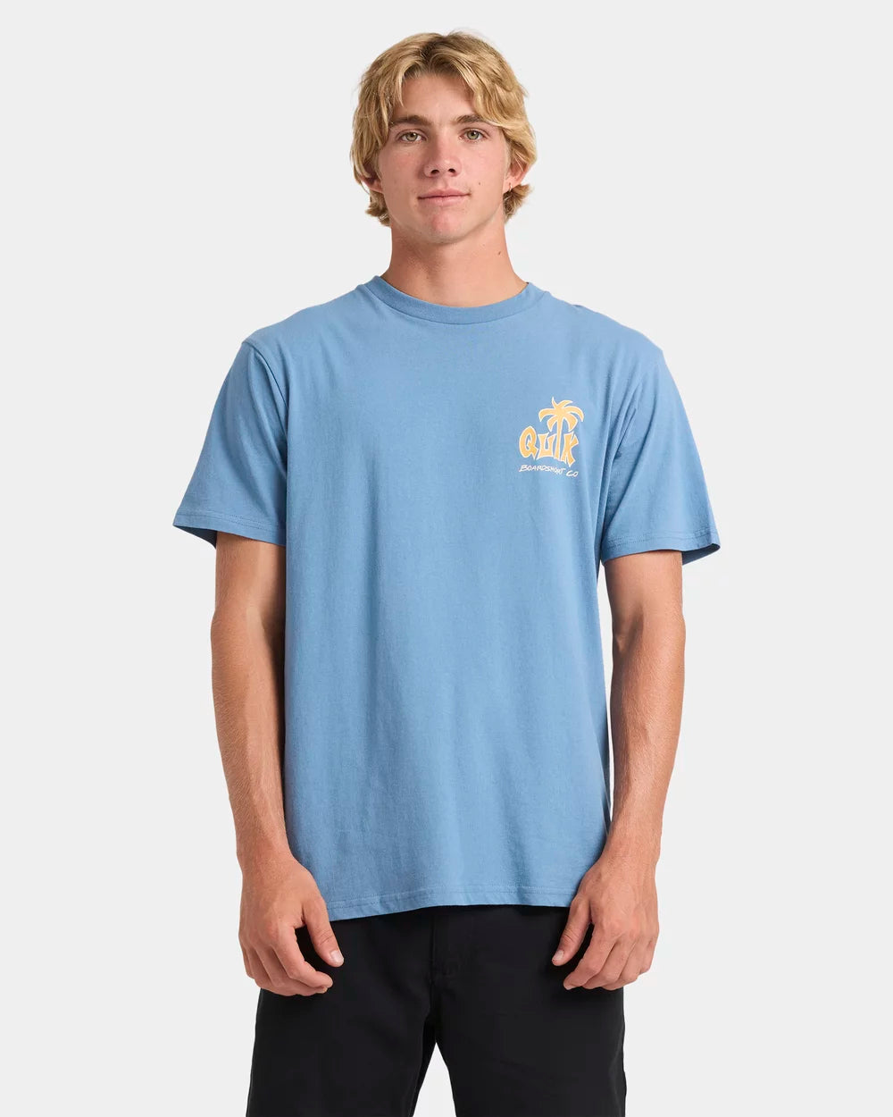 QUICKSILVER PALM RELAX SS TEE